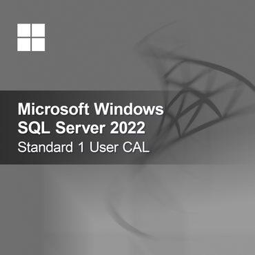 Microsoft SQL Server 2022 Standar 1 Pengguna CAL
