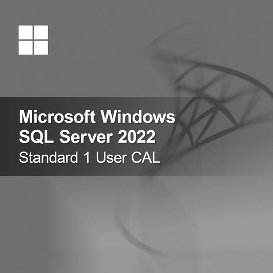 Microsoft SQL Server 2022 Standar 1 Pengguna CAL
