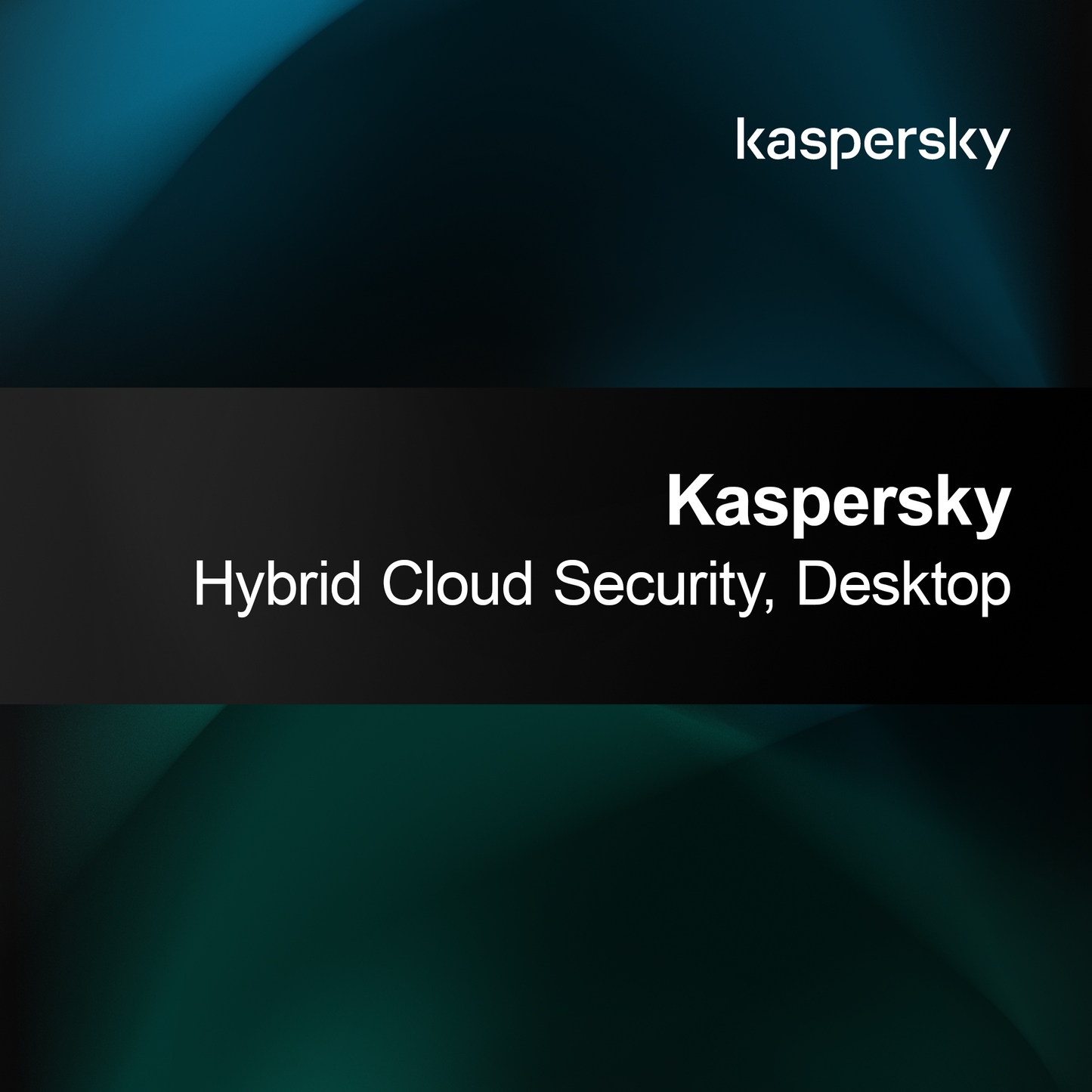 Kaspersky Securitate Cloud Hibrid, Desktop