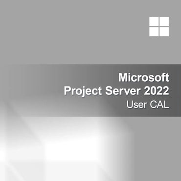 Microsoft Project Server 2022 Kullanıcı CAL
